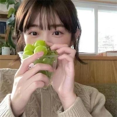 野雏菊